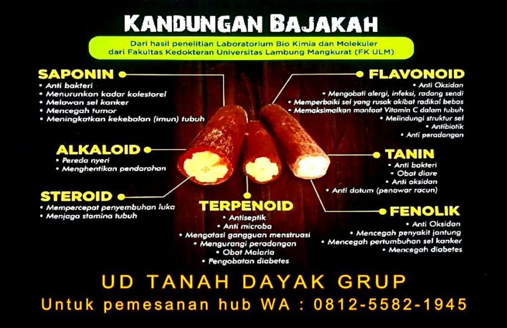 UD TANAH DAYAK GRUP